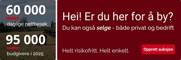 Kampanjebanner på Auksjonen.no