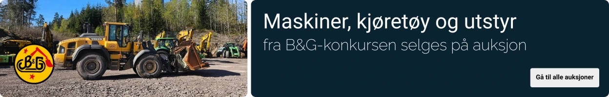 Kampanjebanner på Auksjonen.no