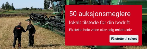 Kampanjebanner på Auksjonen.no