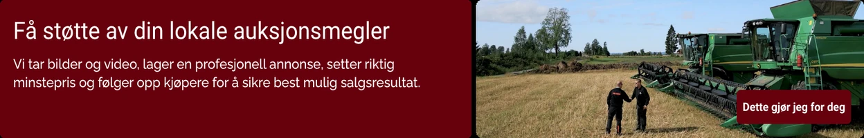 Kampanjebanner på Auksjonen.no