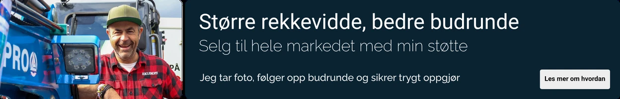 Kampanjebanner på Auksjonen.no