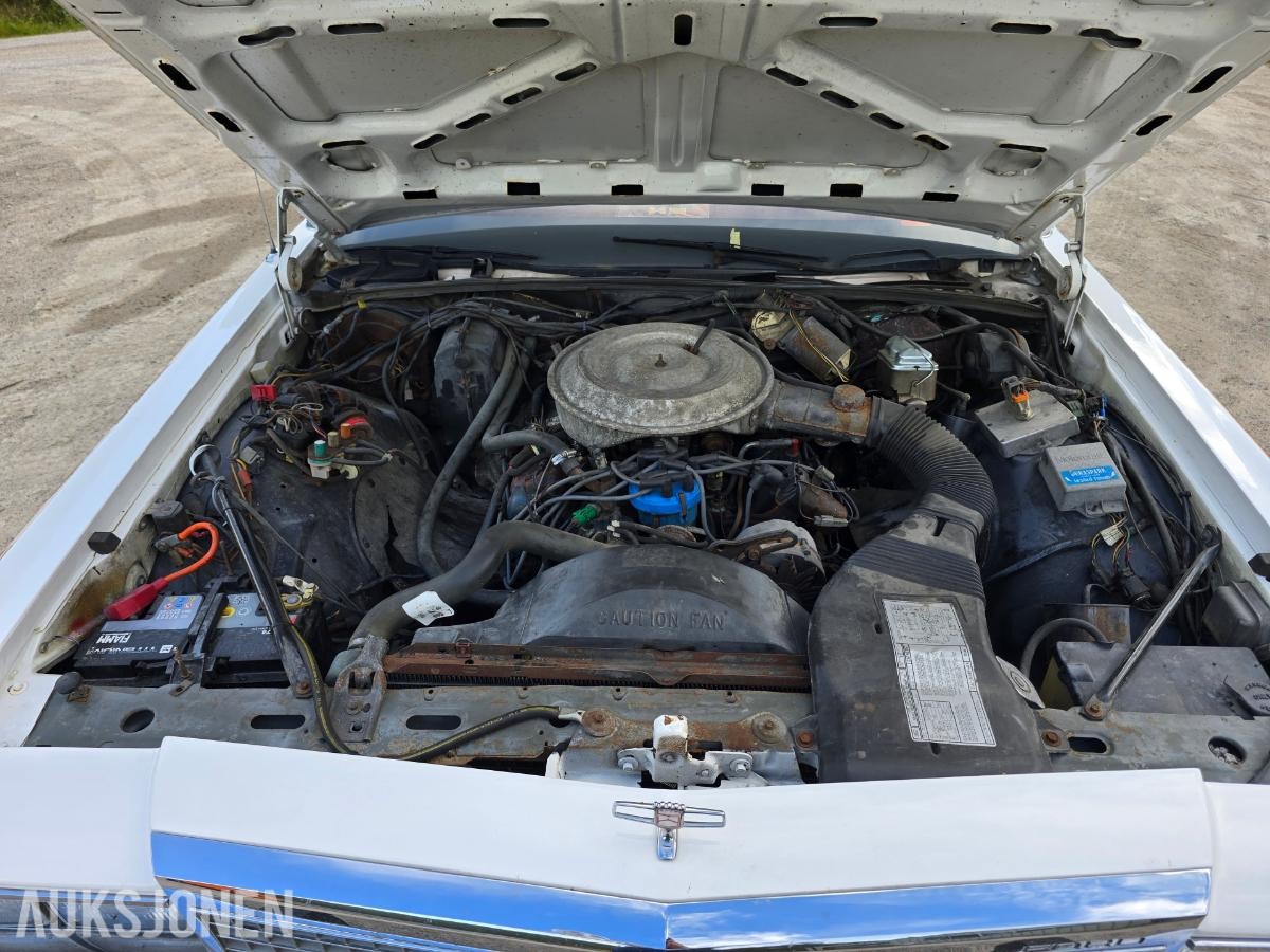 1981 Ford LTD 351w
