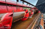 1996 Massey Ferguson MF 34 skurtresker