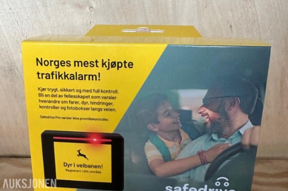 SAFEDRIVE