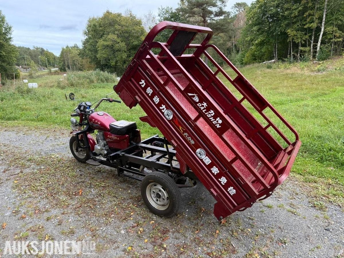 2007 Dalishen DLS150ZH TREHJULING/LASTEMOPED