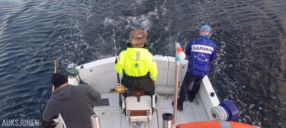 1985 Aquabell 33 - Rigget for tunfiske / Makrellstørje