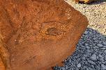 Gjerstad Tannskuff 1700 Liter S70 Cat-J