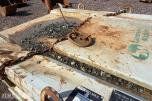 2014 Dieseltank 1000 liter – SPAW-MAL