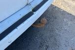 2016 Citroen Jumpy CRUISECONTROL HENGERFESTE P.SENSORER NAVI INNREDNING