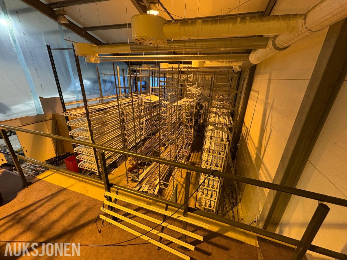 2024 Komplett hydroponisk dyrkingsanlegg med pakkelinje – LED, reoler og vanningssystem