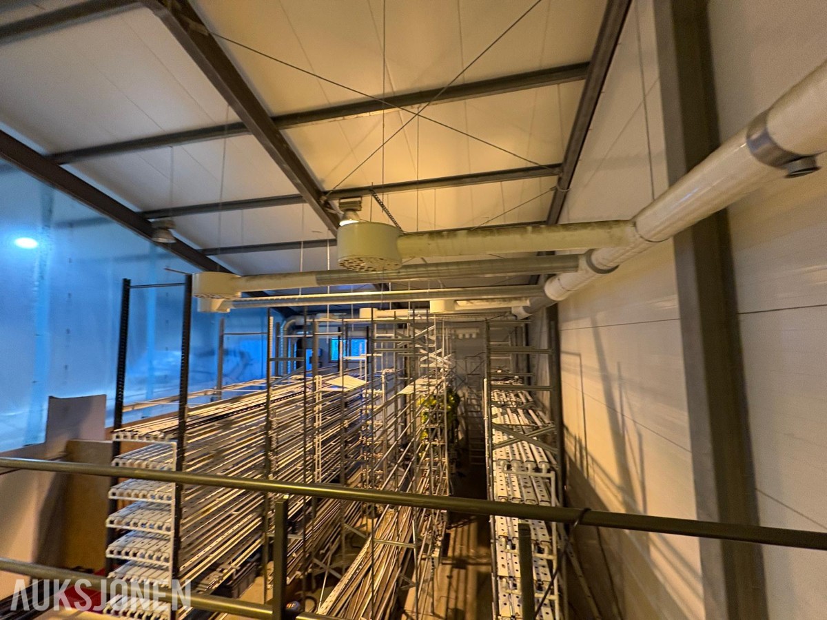 2024 Komplett hydroponisk dyrkingsanlegg med pakkelinje – LED, reoler og vanningssystem
