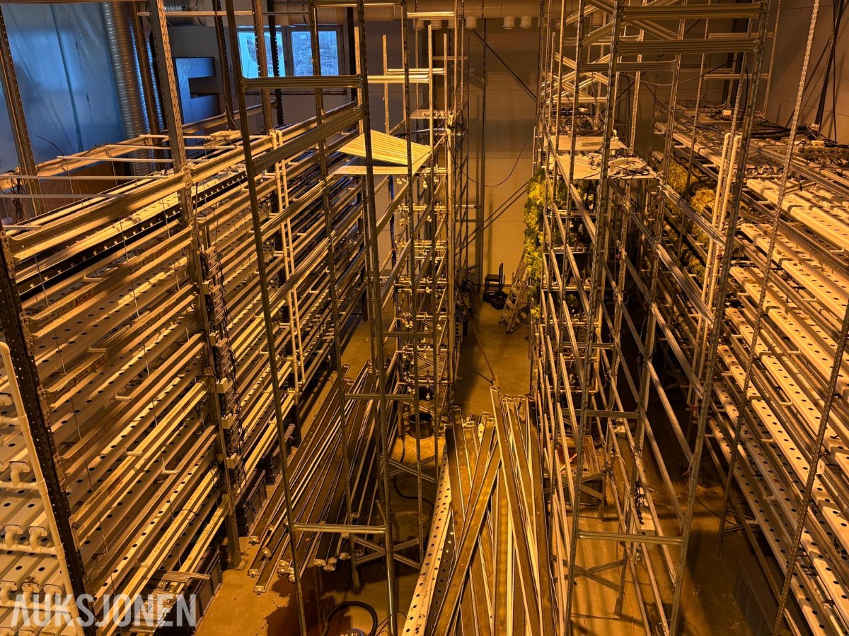 2024 Komplett hydroponisk dyrkingsanlegg med pakkelinje – LED, reoler og vanningssystem