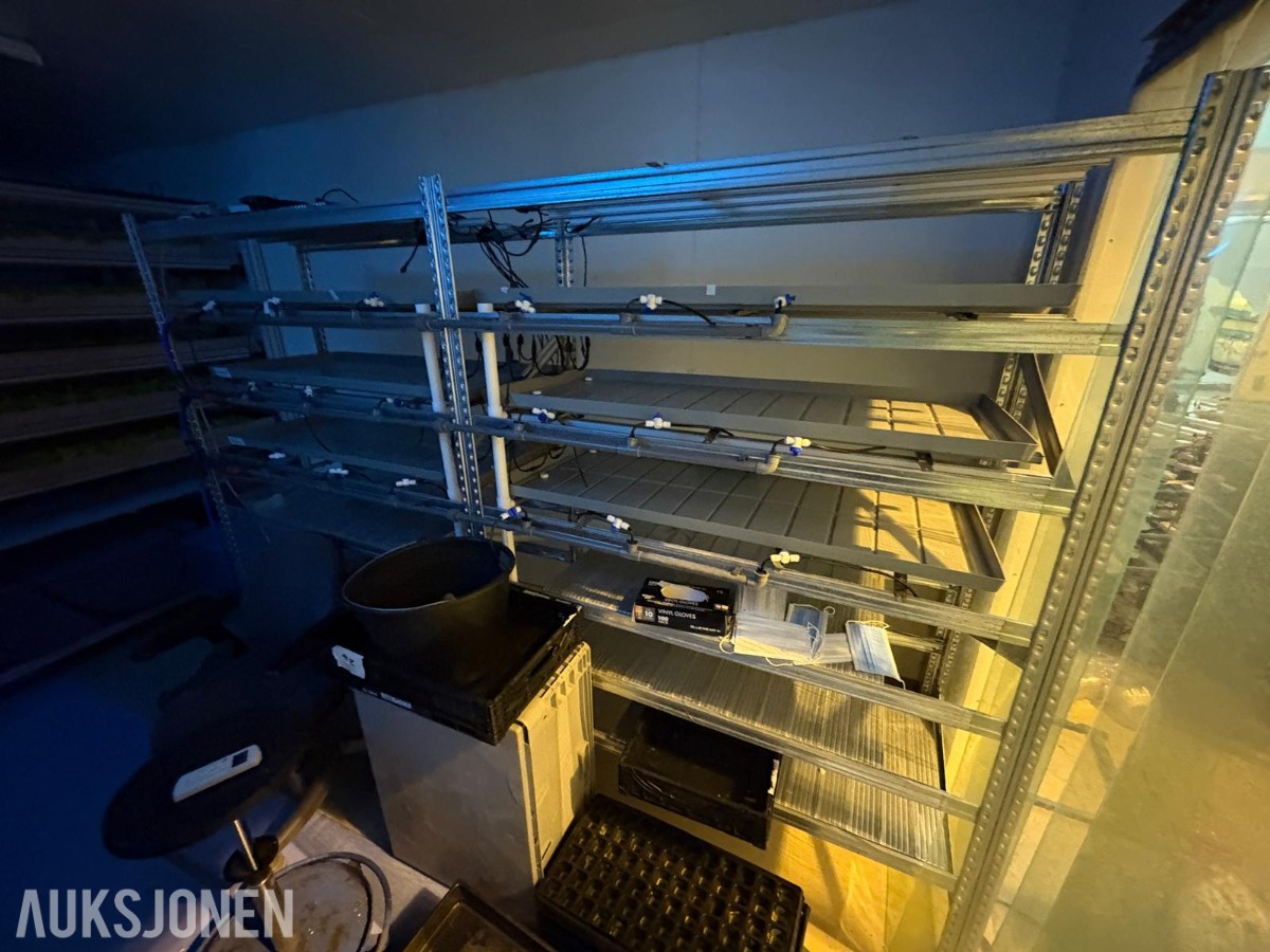 2024 Komplett hydroponisk dyrkingsanlegg med pakkelinje – LED, reoler og vanningssystem