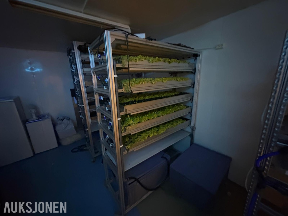2024 Komplett hydroponisk dyrkingsanlegg med pakkelinje – LED, reoler og vanningssystem