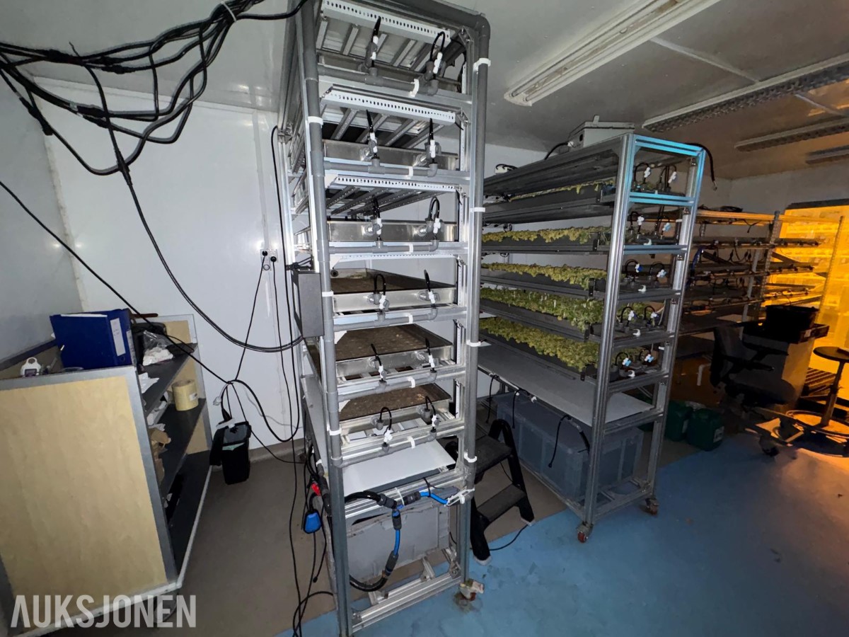 2024 Komplett hydroponisk dyrkingsanlegg med pakkelinje – LED, reoler og vanningssystem