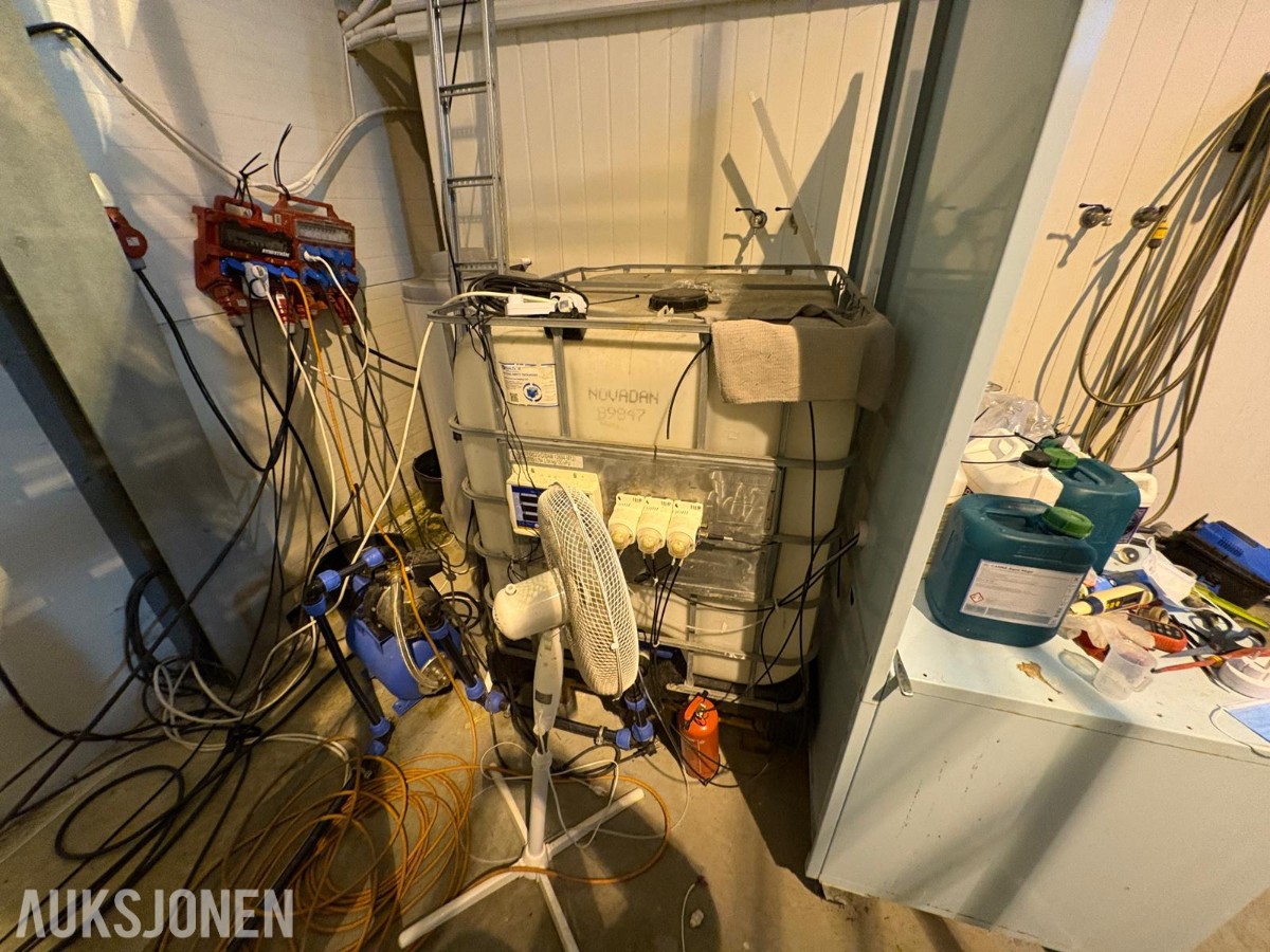 2024 Komplett hydroponisk dyrkingsanlegg med pakkelinje – LED, reoler og vanningssystem