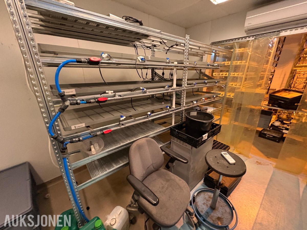2024 Komplett hydroponisk dyrkingsanlegg med pakkelinje – LED, reoler og vanningssystem