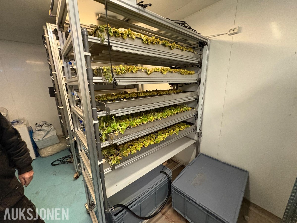 2024 Komplett hydroponisk dyrkingsanlegg med pakkelinje – LED, reoler og vanningssystem