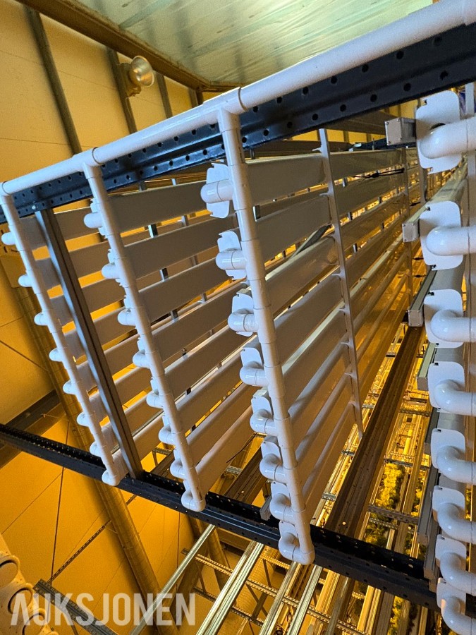 2024 Komplett hydroponisk dyrkingsanlegg med pakkelinje – LED, reoler og vanningssystem