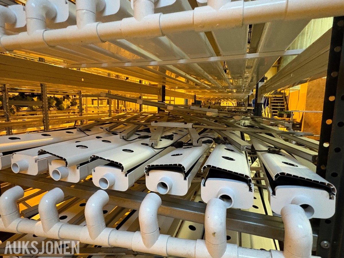 2024 Komplett hydroponisk dyrkingsanlegg med pakkelinje – LED, reoler og vanningssystem