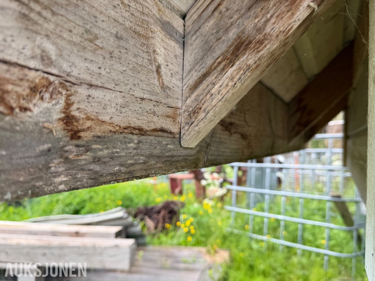 Hønse / hundehus