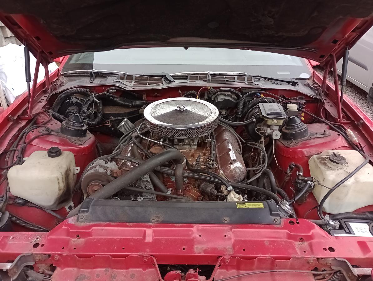 1987 Pontiac Firebird 350ccm/5,7 ltr automat