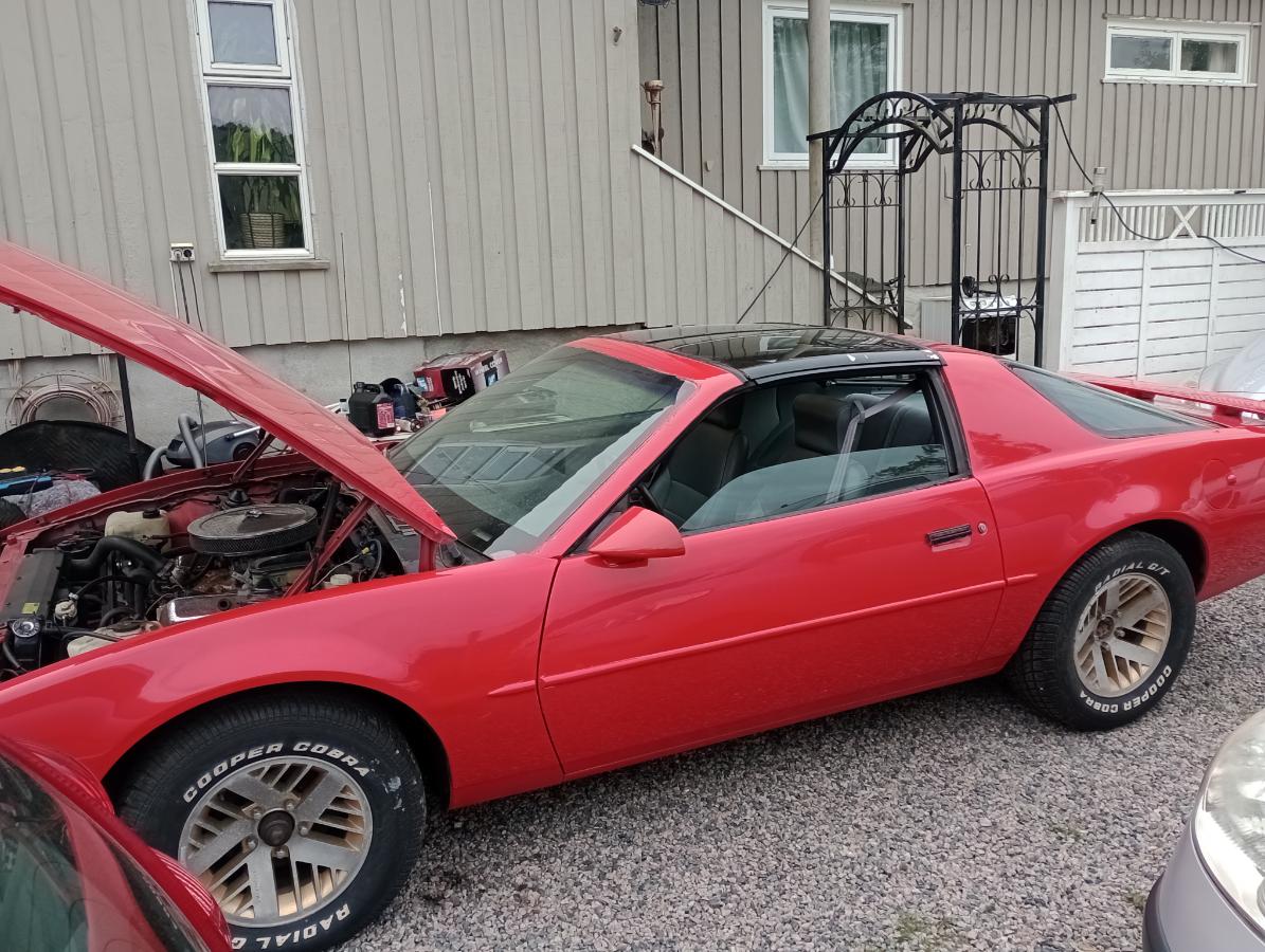 1987 Pontiac Firebird 350ccm/5,7 ltr automat