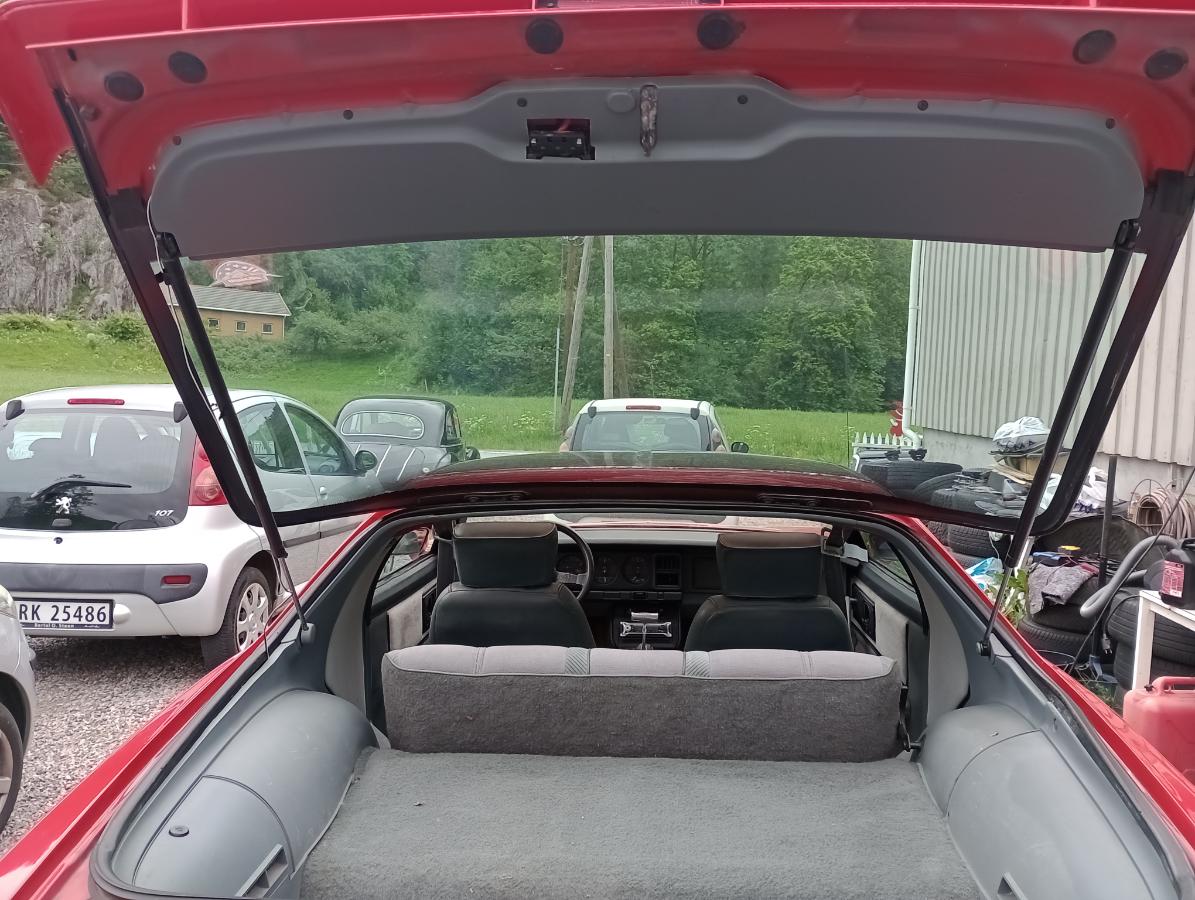 1987 Pontiac Firebird 350ccm/5,7 ltr automat