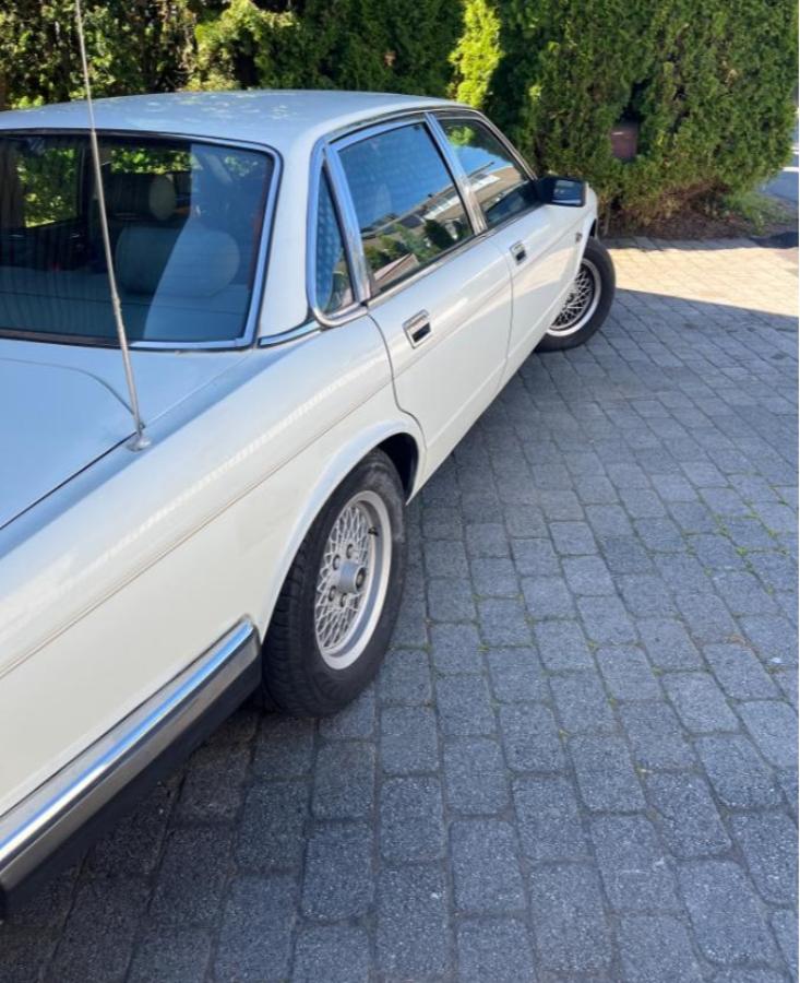 1987 Jaguar XJ-SERIE 3.6 Automat Skinnseter EU OK