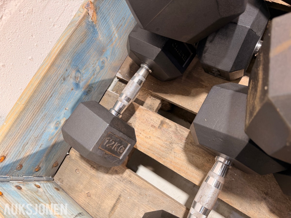 Eleiko treningsutstyr - manualer, kettlebells, treningsbenk, Trap Bar og manualstativ