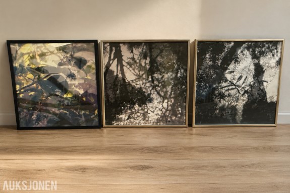 3 innrammede bilder med naturmotiv - ca 95 × 95 cm