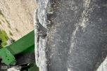 2018 John Deere 6155 R  m/frontlaster og fronthydraulikk 50km/t EU-ok