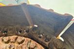 2013 Komatsu PC210LC-10 – Gravemaskin - Timer: 7306