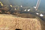 2013 Komatsu PC210LC-10 – Gravemaskin - Timer: 7306