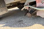 Scania 94D Feiebil. Eu godkjent til 18.07.27