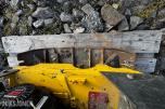 2013 Bomag BPR 35/60 reverserbar vibroplate med Honda GX160 bensinmotor – 2013 modell