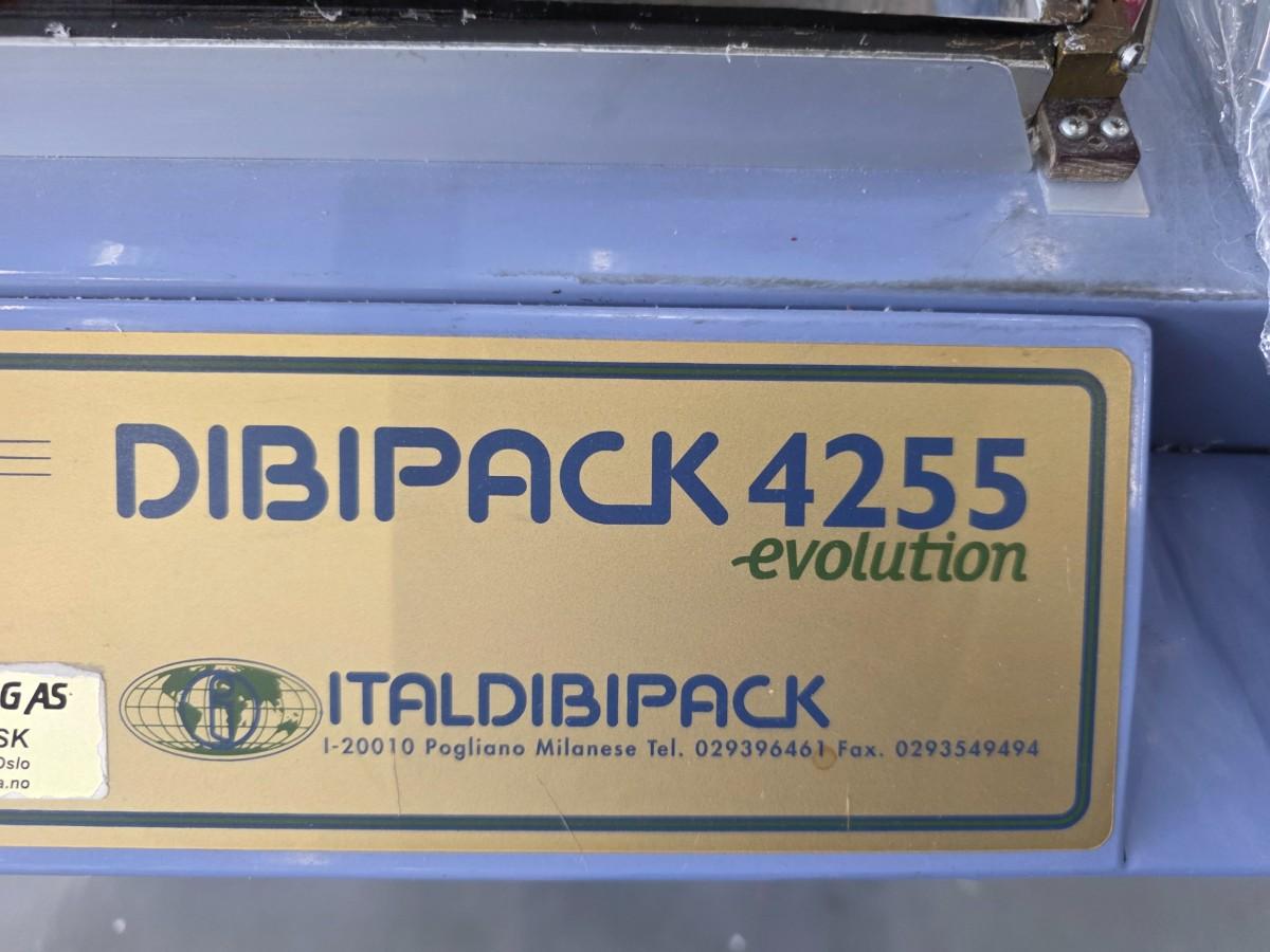 2007 Italdibipack Dibipack 4255EV Plastpakker