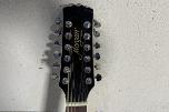 Morgan 12 W116 CE BK 12-strengers elektroakustisk gitar