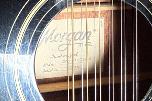 Morgan 12 W116 CE BK 12-strengers elektroakustisk gitar
