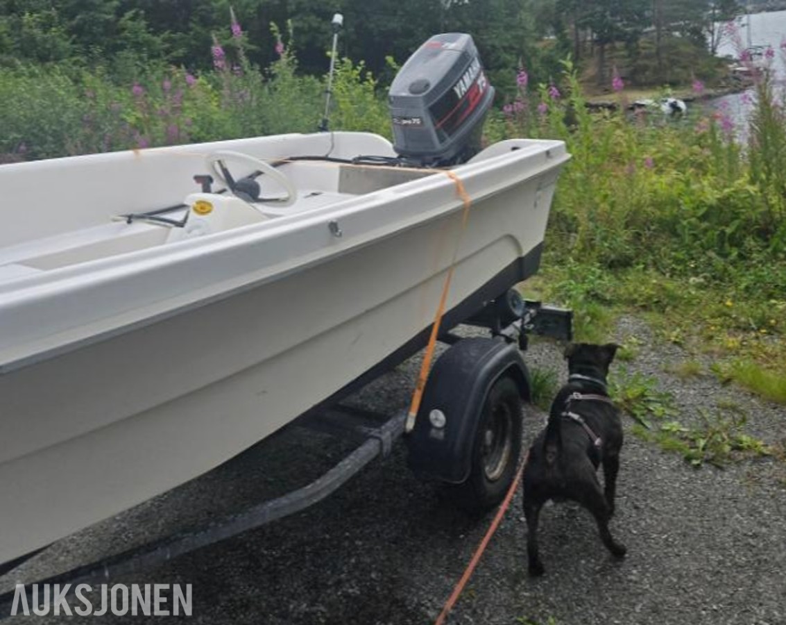 1994 5,5 meter Colibri 15 med henger