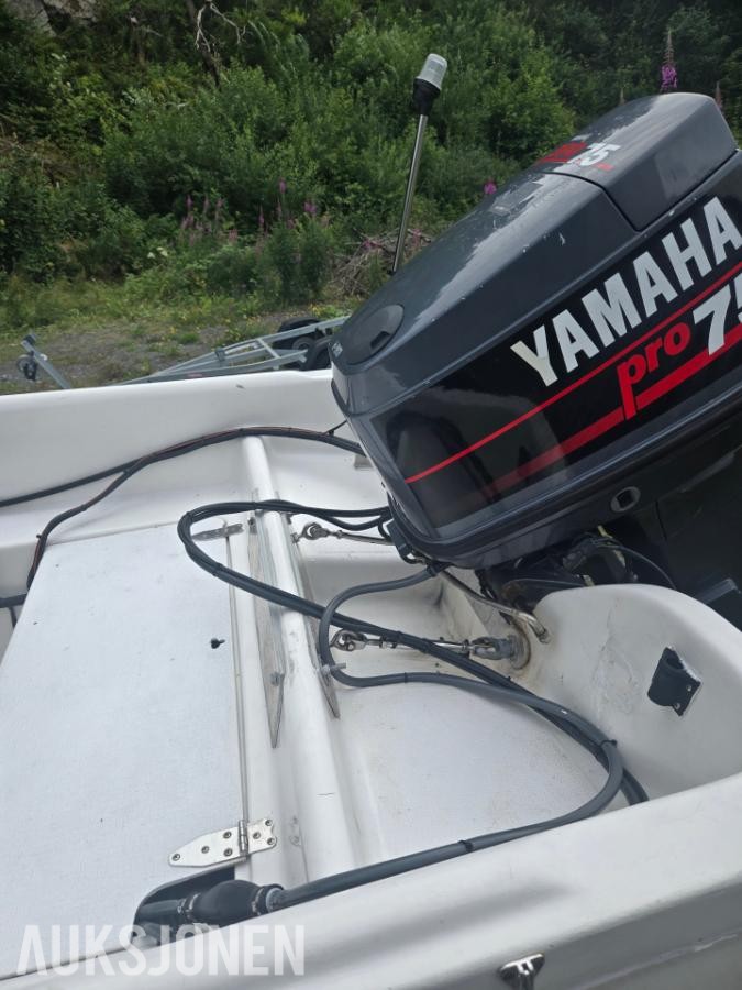 1994 5,5 meter Colibri 15 med henger