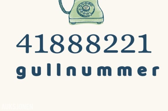 Gullnummer: 41888221