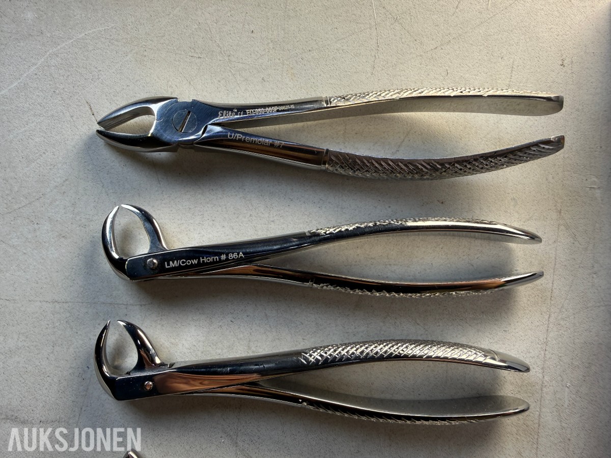 15 stk Elite tannekstraksjonstenger – flere modeller