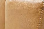 IKEA LANDSKRONA 2-seters sofa - gyllenbrun