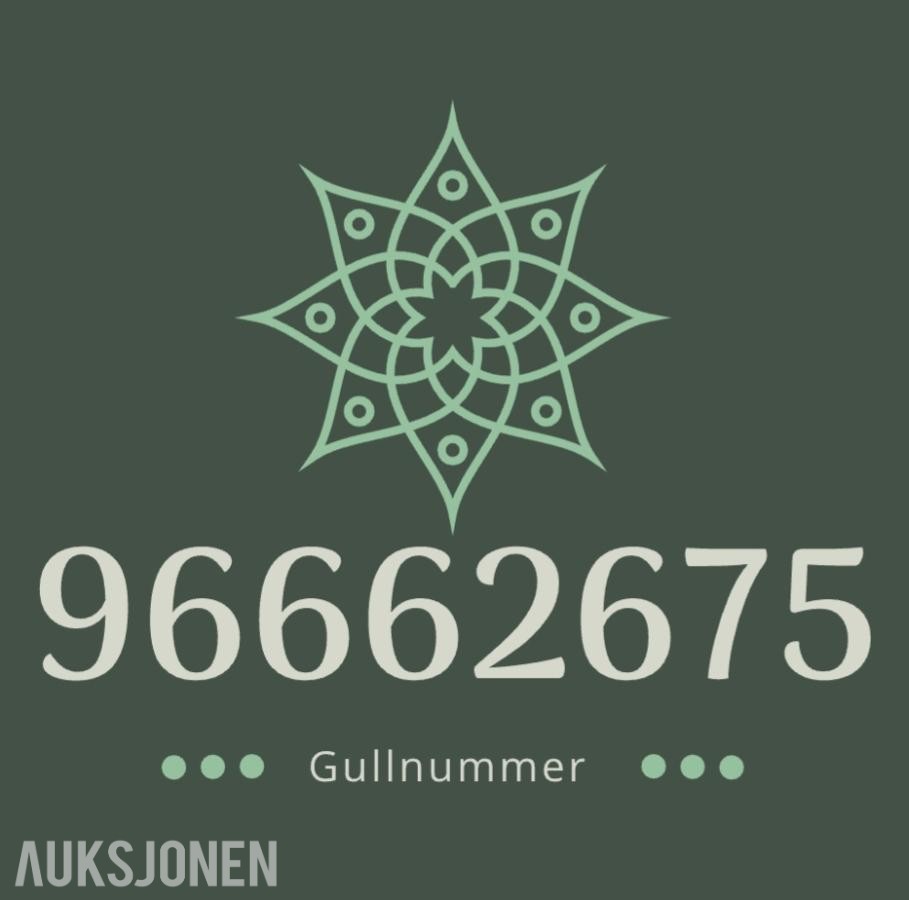 Enkelt nr: 96662675