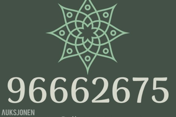 Enkelt nr: 96662675