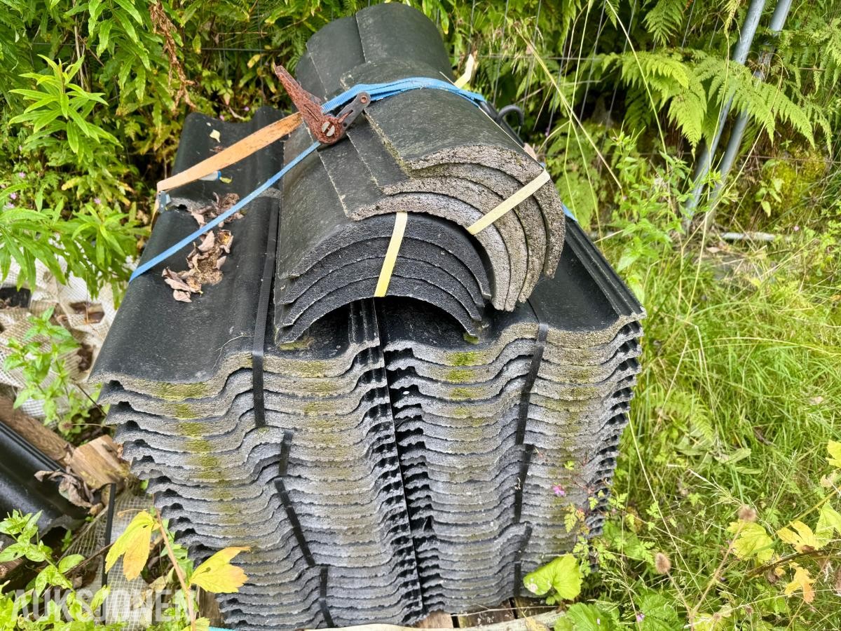 Zanda Protector betongtakstein