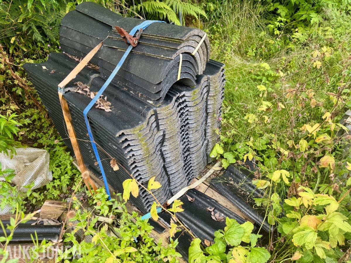 Zanda Protector betongtakstein