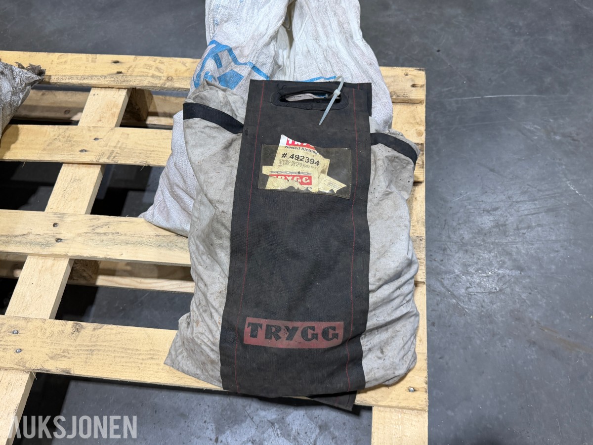 Parti snøkjettinger – Trygg / Blåmann