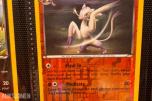 Pokemonkort samling Diverse fra 1995-2011